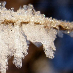 Brixe_Crystaline Weihnacht