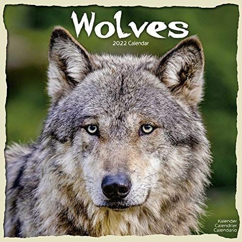 ACCESS EPUB KINDLE PDF EBOOK Wolf Calendar - Wolves Calendar - Calendars 2021 - 2022