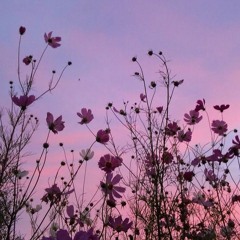 Foxglove(prod. taxpurposes)