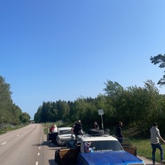 Trollskogen 🤠