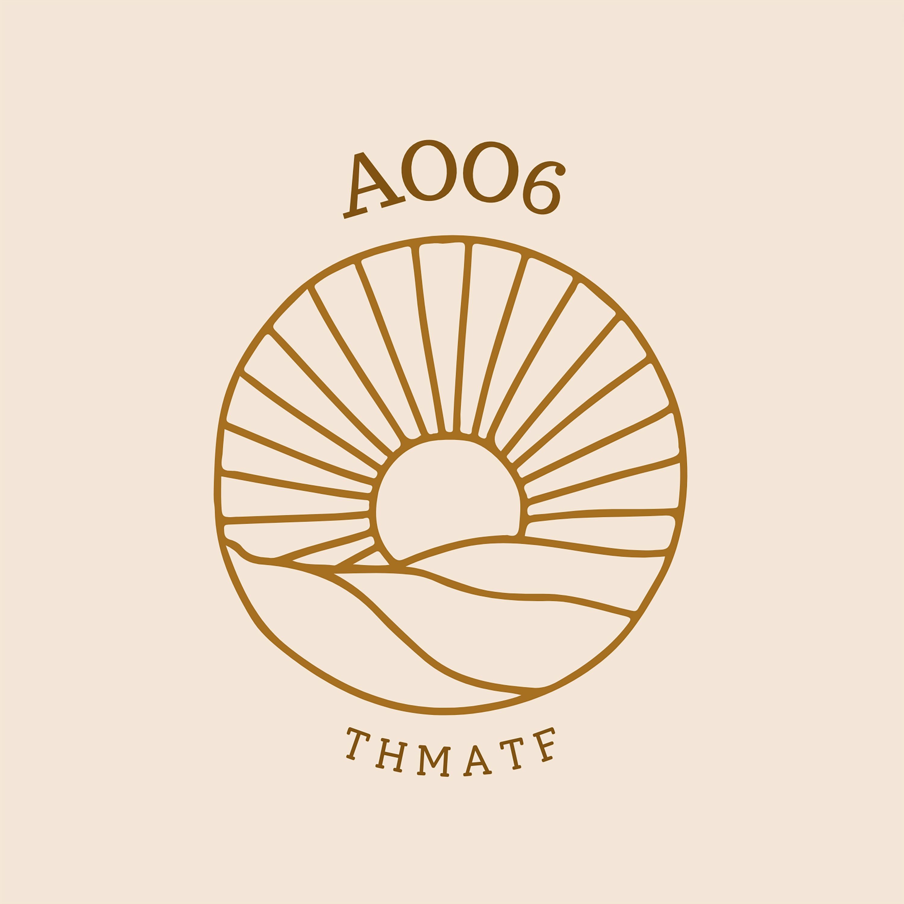 AOO6