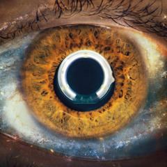 Questo nostro grande amore