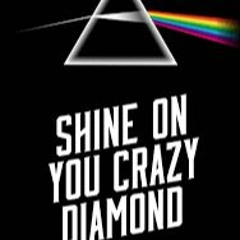Cover_Shine On You Crazy Diamond (Only the guitars are played - Original Backing Track)