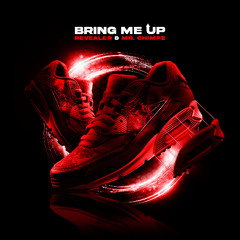 Revealer & Mr. Chimpz - Bring Me Up