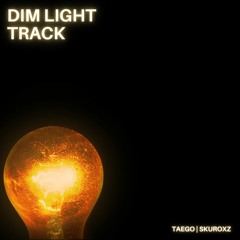 Dim Light Track (ft.SKUROxZ)
