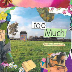 Too Much - DontCallMeStacey
