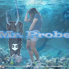 Mr. Probe