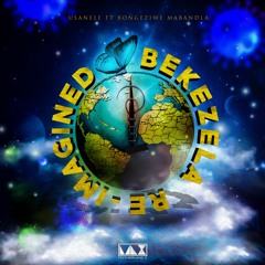 Bekezela (FLEX THE NINJA Remix)
