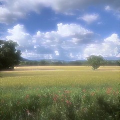 Liar - Yorushika (Cover) | Guitar + Vocal