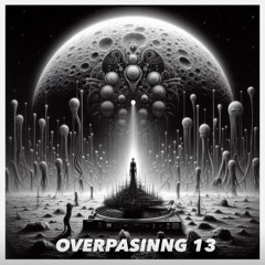 OVERPASSING 13