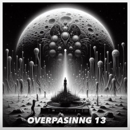 OVERPASSING 13