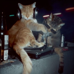 GROOVE IS THE MAIN COURSE