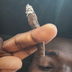 Zoolin & Boolin