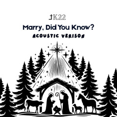 Marry Did You Know - Acoustic Version