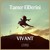 Artwork for Tamer ElDerini - Vivant [Ethno Electronica]