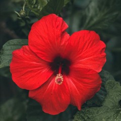 The Other Side of Heaven