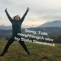 Tolik nevyřčených slov