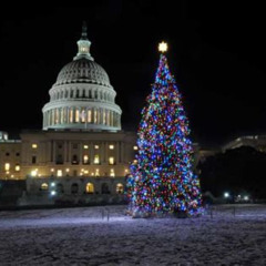 Review Special Price Holiday Lights Tour Of Washington Dc And Old Town Alexandria