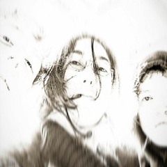 OB0287 — Still House Plants