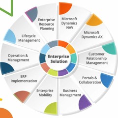 Enterprise Custom Software Design and Development for Industry Leaders.mp3