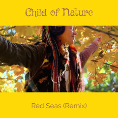 Red Seas (Remix) & Video Link