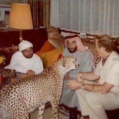 الزين هذا-راشد الماجد