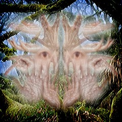 big foot (feat. Lucki)