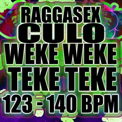 RAGGASEX X CULO X WEKE X TEKE TEKE 123 - 140  (LuisJimenez Mashup)