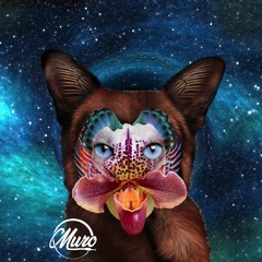 Galantis - No Money (MURO remix)