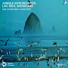 Jungle Gym Records : Lac Seul Showcase - 06 Mai 2024