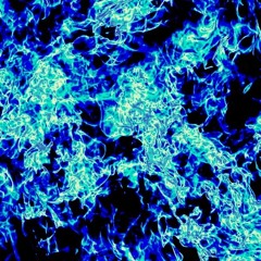 Bilas D.A Fox - Rewind tape that is on replay