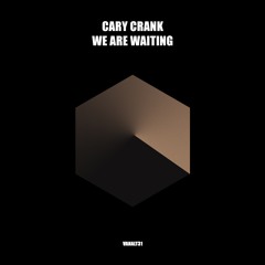 PREMIERE: Cary Crank - We Are Waiting (Original Mix) [Vandit Alternative]