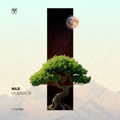 PREMIERE: Dj Nils - Guidance [Plombir Music]