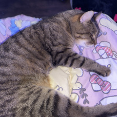 :3