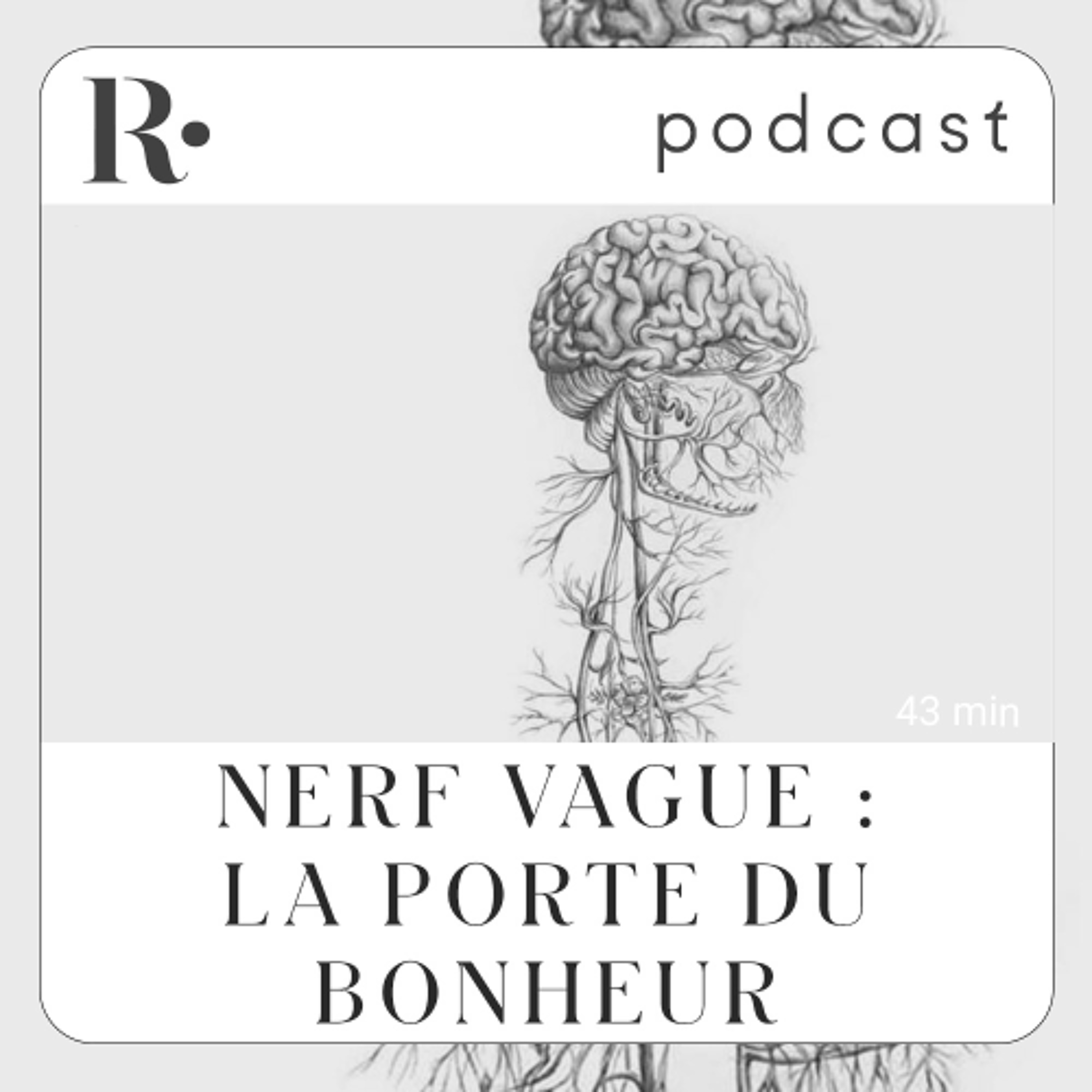 Nerf Vague : la porte du bonheur - Ludovic Leroux