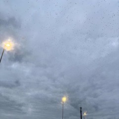 due felpe come giacca