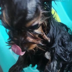 candy rain - jah mula X slash b