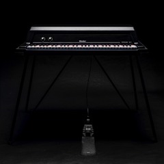 Rhodes Stage 61 + V-Rack (Delay)