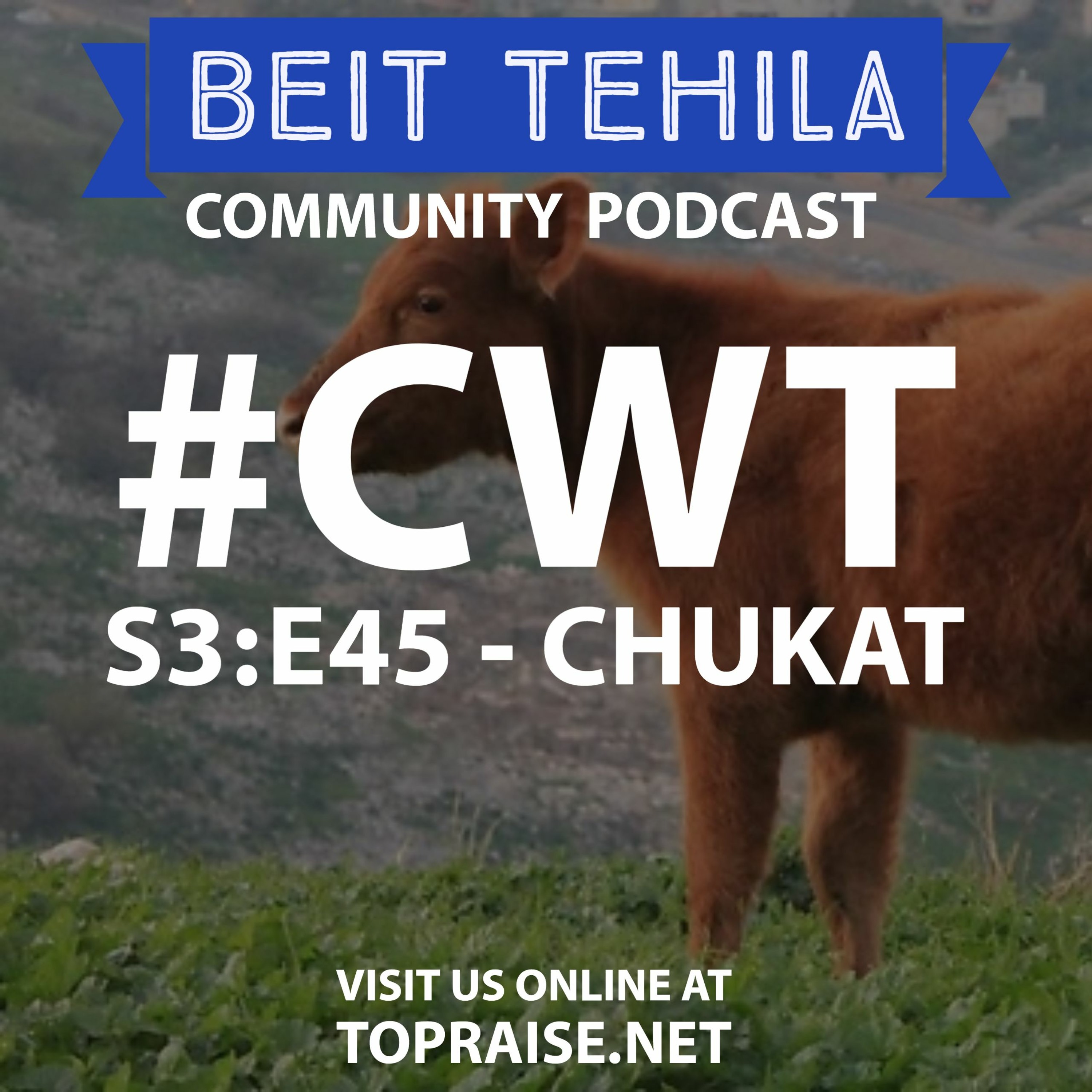 Christian\'s with Torah - The BeitTehila Podcast | Pastor Nick Plummer & Ryan Cabrera