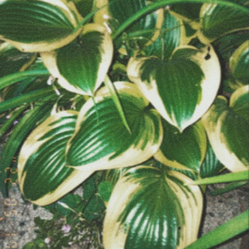 Walking botanical garden 步行植物园