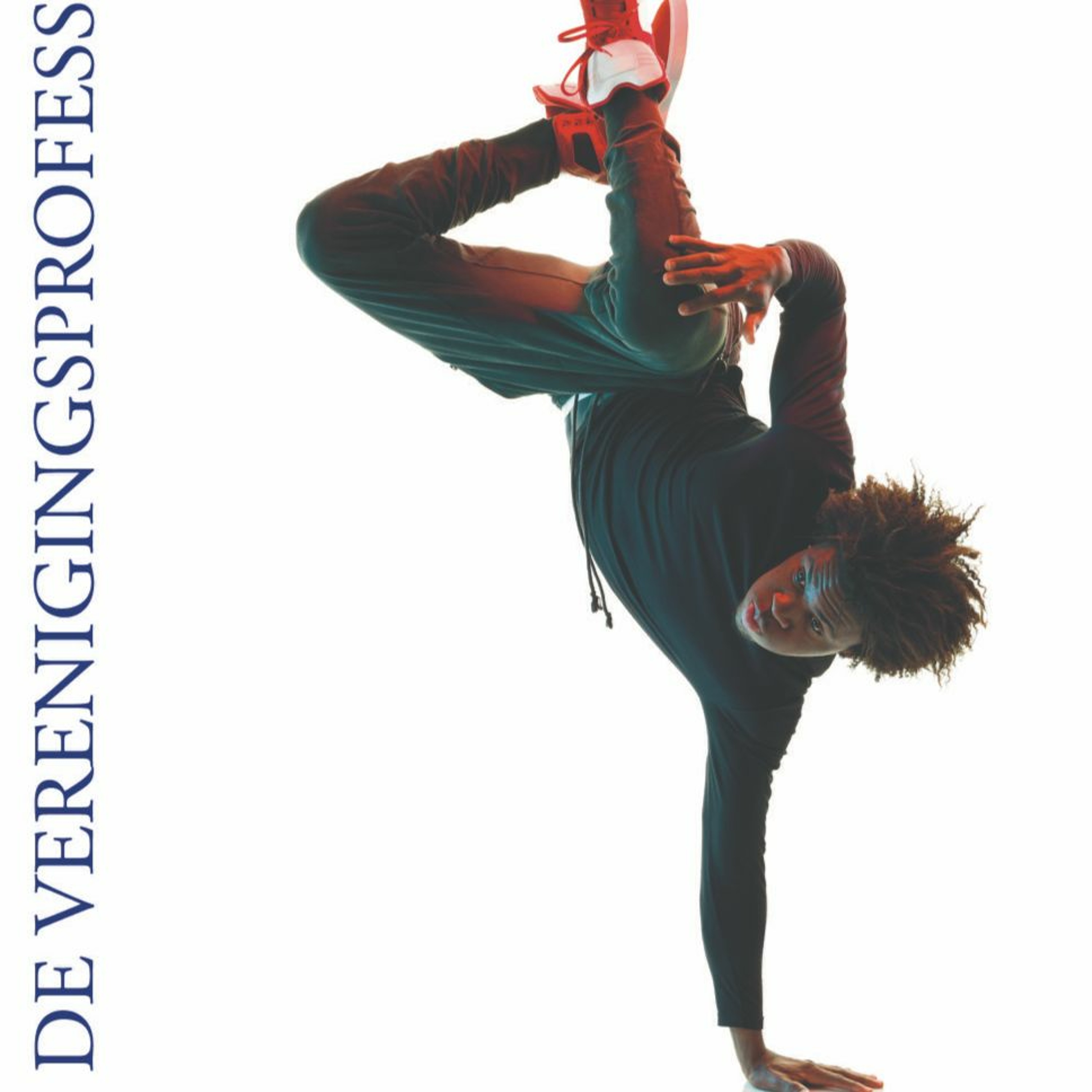 VP de Verenigingsprofessional