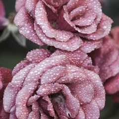 The Long Way Reggae RMX