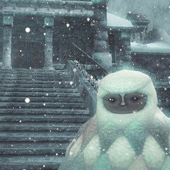 cold night