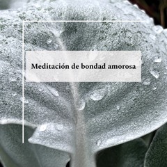 Meditación de bondad amorosa