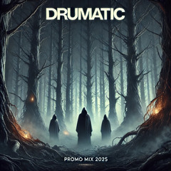 Neurofunk Promo Mix 2025