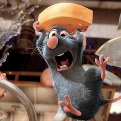 NAWH FR WHO DOESN’T LIKE RATATOUILLE??