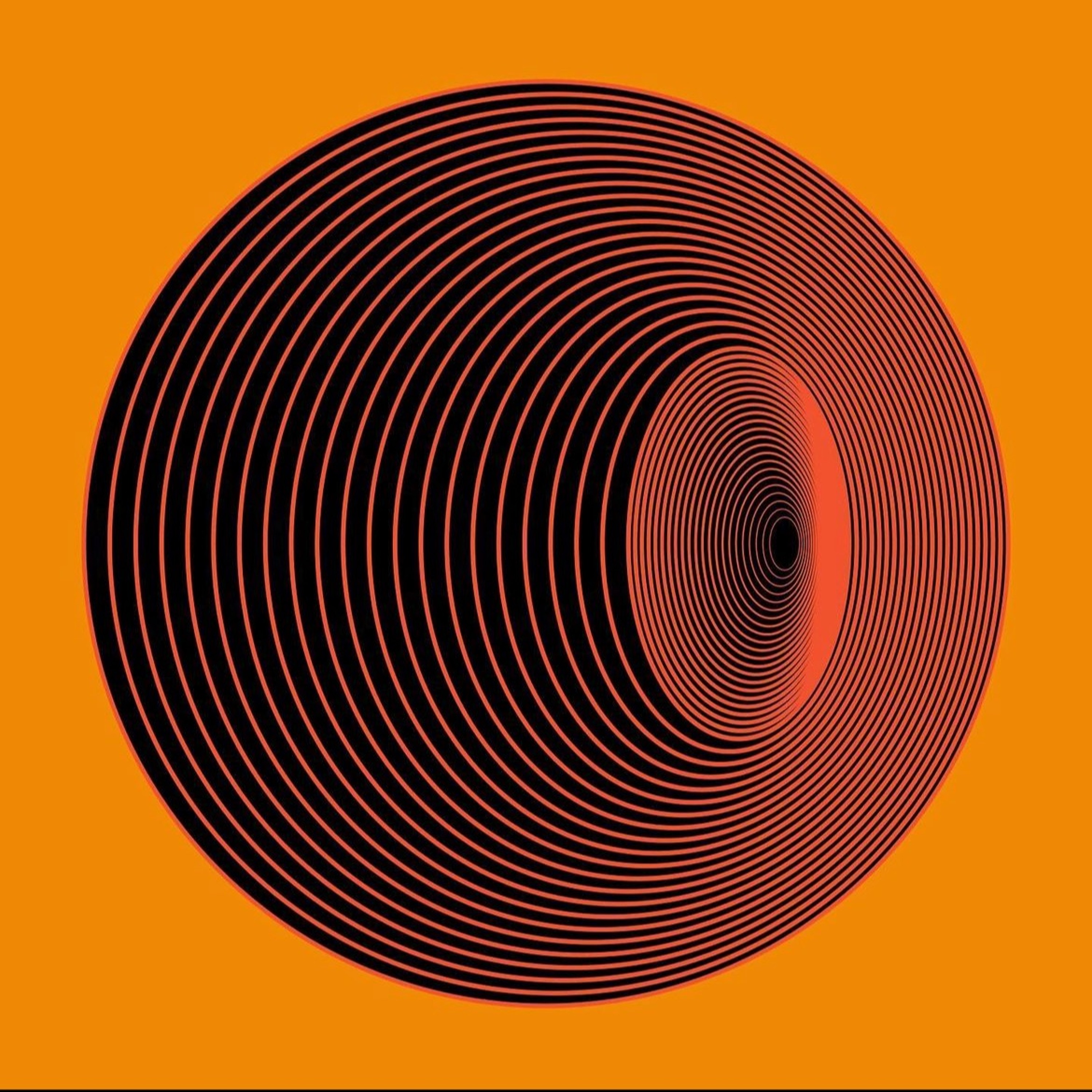 Anaploidy Of The Young Musician episode artwork