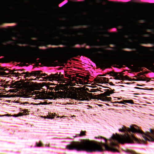 Let You Go