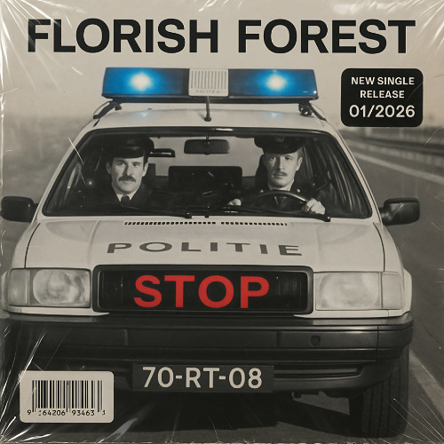 Florish Forest - Caught in the chaos of our own dum dum moves (b-side STOP)