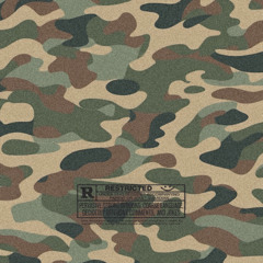 Camoflauge Freestyle (ft. Baby Bronco)+(Official)